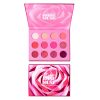 ABSOLUTE NEW YORK ROSE MUSE 12 COLOR MULTI FORMULA PALETTE 0.85 G X 12 MESP07