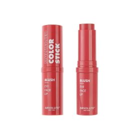 ABSOLUTE NEW YORK MULTIFACETED STICK BLUSH RASPBERRY SORBET