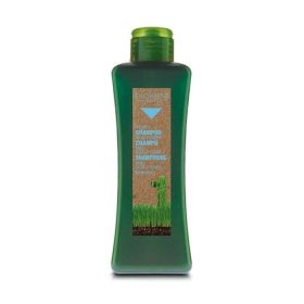 BIOKERA SHAMPOING SCALP CARE MIEL CUIR CHEVELU SENSIBLE 300 ML