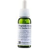 LA SAPONARIA COMPLEXE DE PEPTIDES AU SACHA INCHI PURE 30 ML