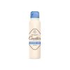 ROGE CAVAILLES DEODORANT ABSORB + INVISIBLE 48H SPRAY 150 ML