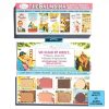 THE BALM the Balm Bina Face palette