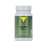 VITALL + BACOPA 250 MG 60 GELULES