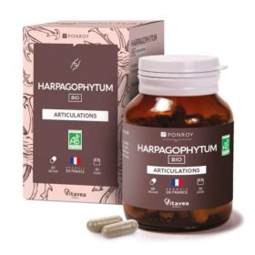YVES PONROY HARPAGOPHYTUM ARTICULATIONS 60 GELULES